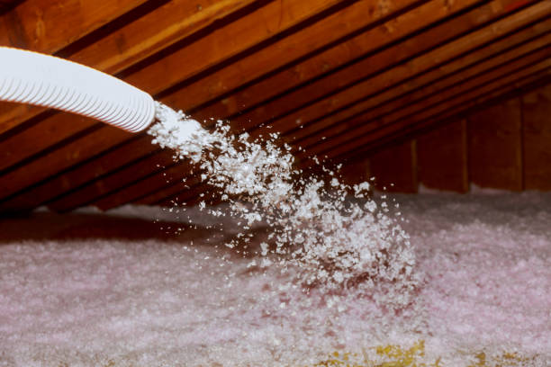 Best Attic Insulation Installation  in Algonac, MI