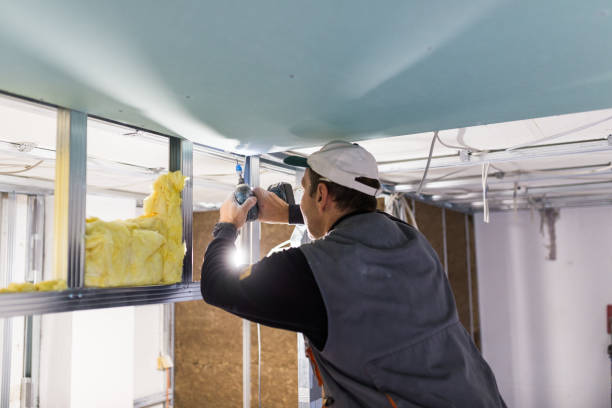 Best Spray Foam Insulation  in Algonac, MI