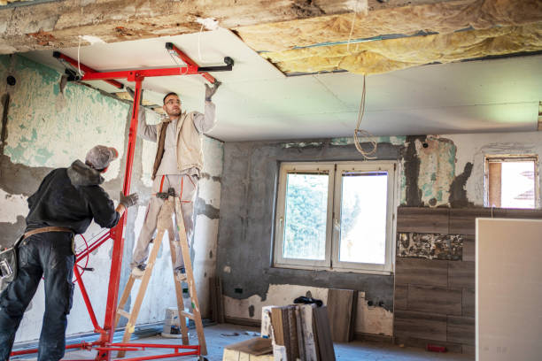 Best Best Insulation Companies  in Algonac, MI