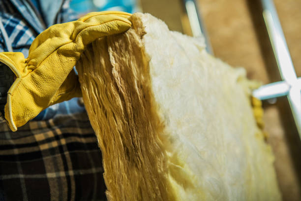 Best Professional Insulation Contractor  in Algonac, MI