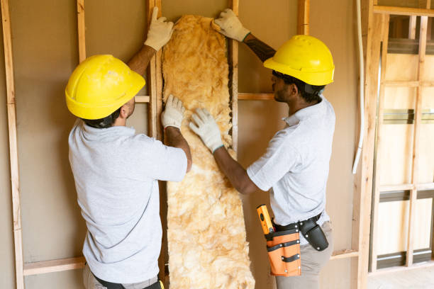 Best Insulation Replacement Services  in Algonac, MI