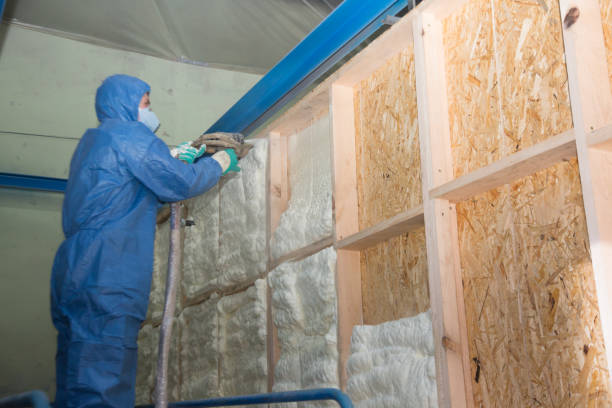 Best Crawl Space Insulation  in Algonac, MI