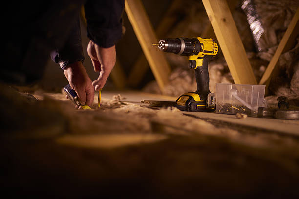 Best Home Insulation Services  in Algonac, MI
