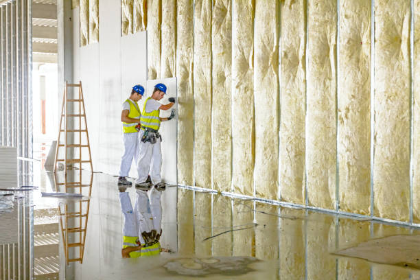 Best Insulation Installation Cost  in Algonac, MI